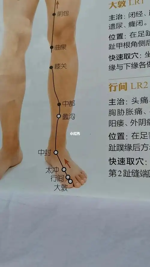 足厥阴肝经凌晨一点到三点当令好好睡觉