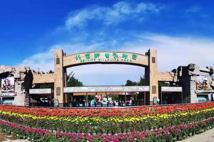 大兴北京野生动物园