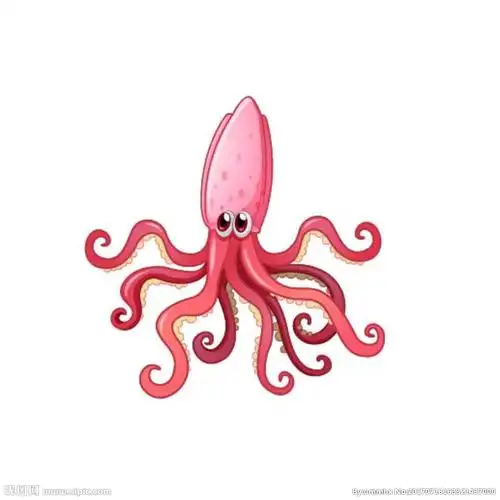 卡通鱿鱼图片
