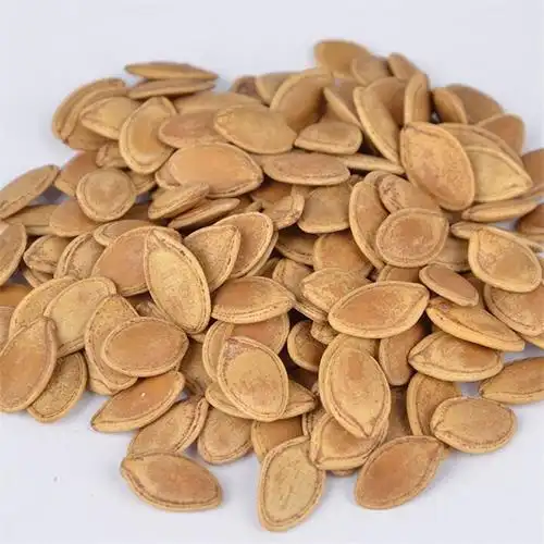 批发熟南瓜子仁 卤味黄南瓜子坚果炒货休闲零食南瓜子仁一件代发