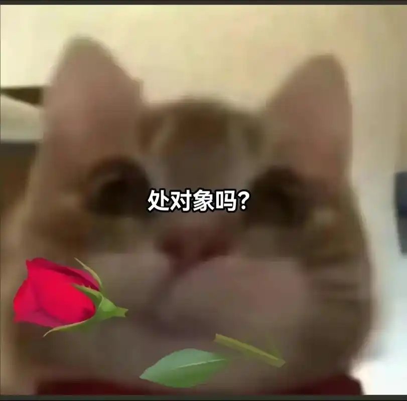 处对象吗宝宝#谈恋爱#脱单#我想谈恋爱#老天爷赐我个对象吧 - 抖音