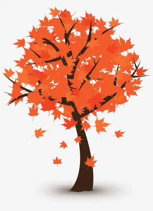 手绘/卡通 卡通元素 > 手绘橙色枫叶树 收藏 [声明] 觅元素所有素材为