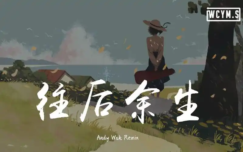 王贰浪- 往后余生(andy wsk remix)【動態歌詞/lyrics video】