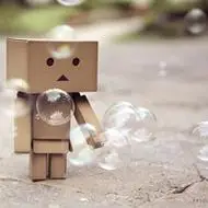 微信头像小清新张小盒 张小盒微信头像