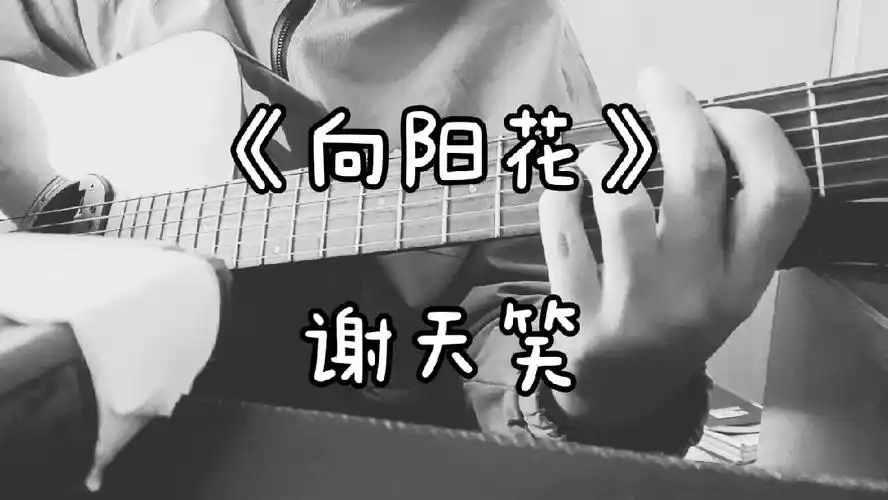 【心声cover】《向阳花》-谢天笑 | 6% | #100首弹唱计划-其他视频