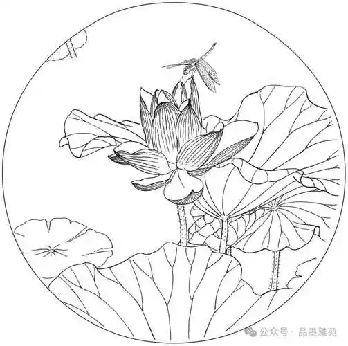 学习素材 ▏十幅高清工笔花鸟线描底稿,收藏备用吧!