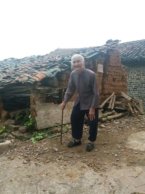 白发苍苍的奶奶拄着拐杖,脸上笑得像绽开的花朵