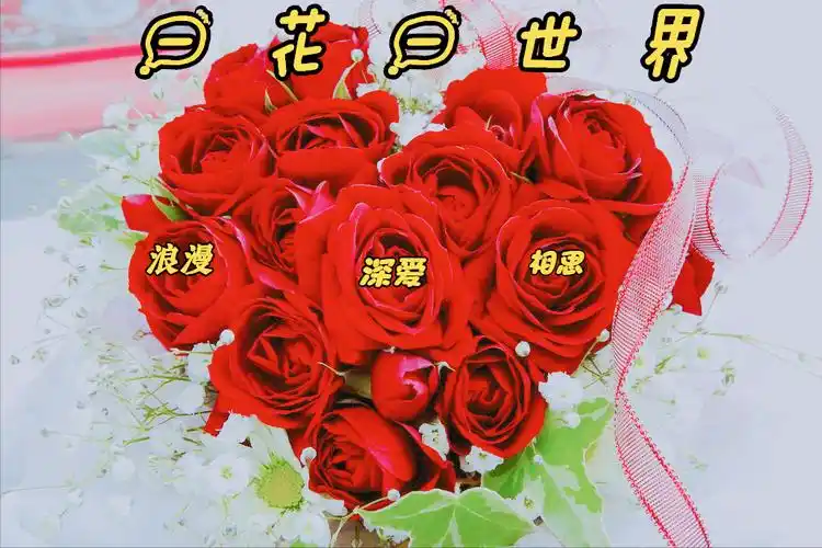 一花一世界,静观花开,岁月安好,鲜花深情祝福,送心中最爱的人