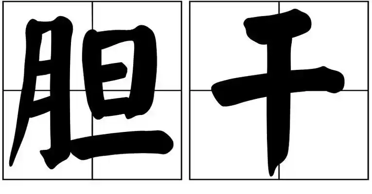 胆拼音(胆怯拼音)