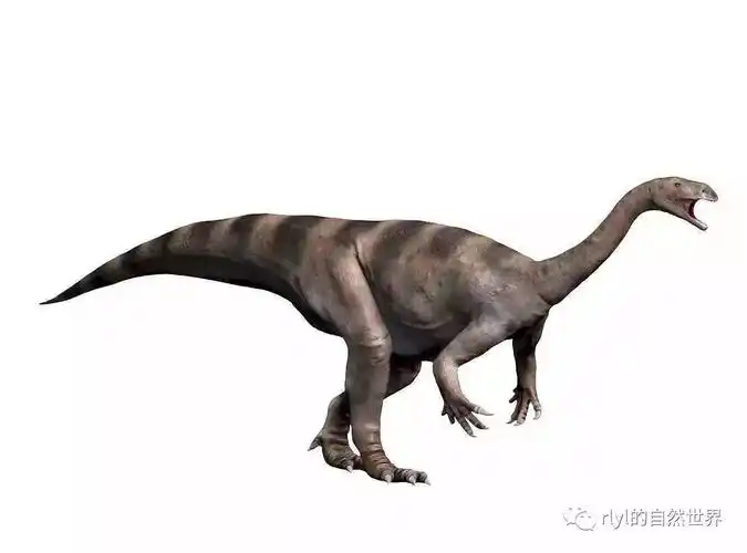 【恐龙探索】开挂巨人——板龙!