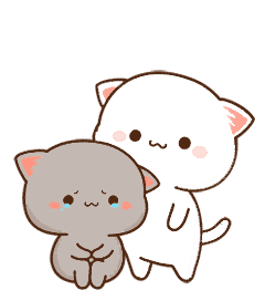 蜜桃猫超可爱表情包