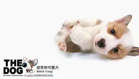 [climax shodo]~~hime[75p/21m] 应求