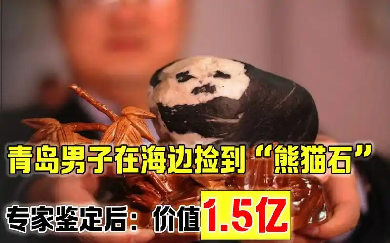 青岛男子捡到一块石头,有人出价100万遭拒,专家鉴定后:值1.5亿