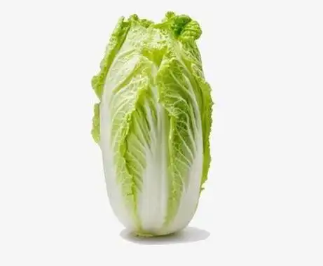 大白菜