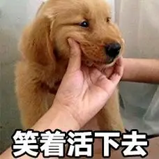 表情包笑着活下去