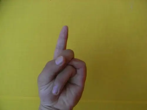 【玄天指】今天,我就详细的介绍一下手诀的手势.