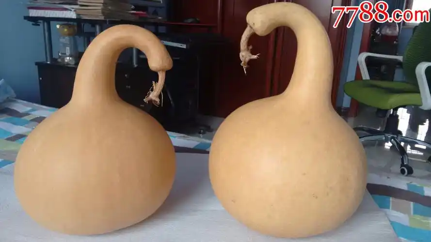 一对单肚大葫芦