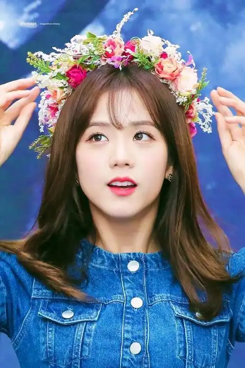 金智秀高清写真图(美丽动人的金智秀)(5)