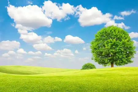 绿树植物与晴间多云的蓝天绿树蓝天白云草地山上绿树成荫的蓝天与秋