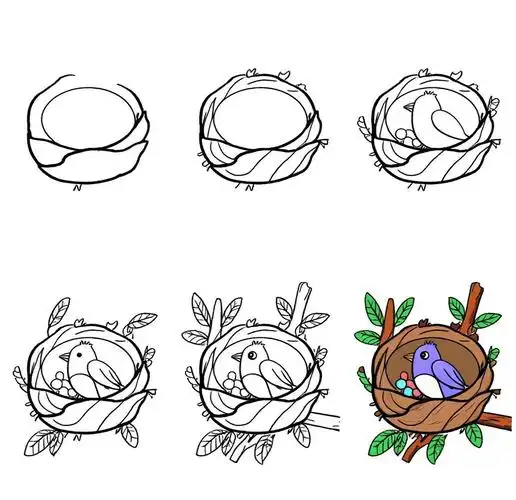 🐦鸟巢的简笔画🎨