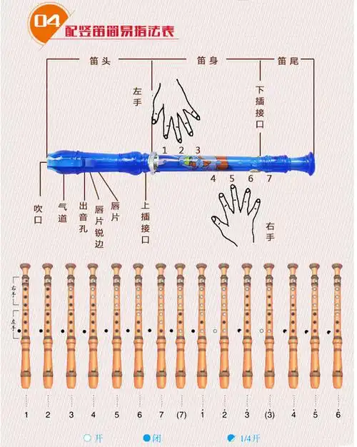 奇美牌小灵通高音直笛儿童卡通八孔竖笛 初学8孔笛子-篮色