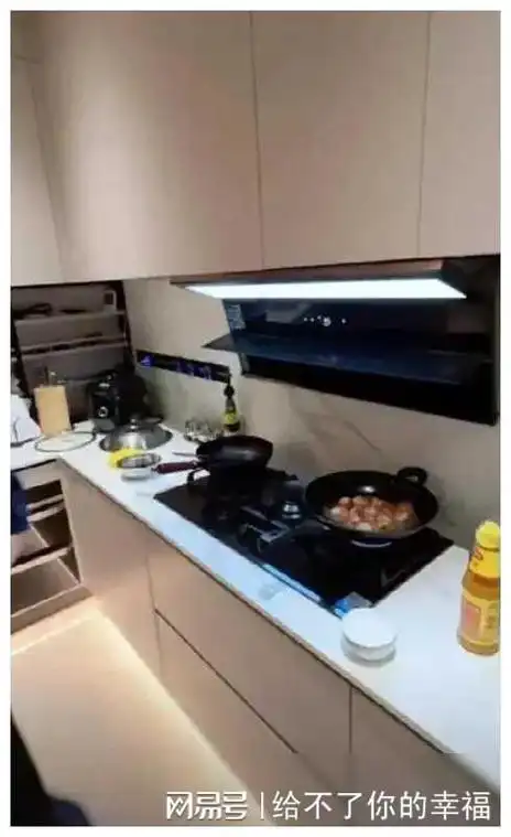 林更新豪宅曝光网友直呼好家伙