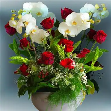 女人招财转运微信头像2022 带来好运头像图片大全_微信头像-酷玩个性