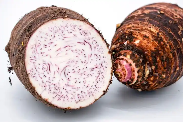 江永香芋_广西桂林荔浦大芋头湖南江永槟榔芋小香芋特产新鲜时令果蔬