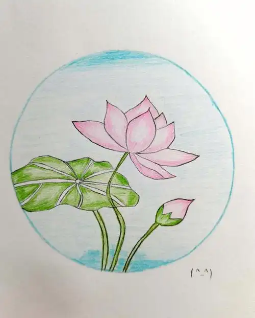 荷花彩铅简笔画