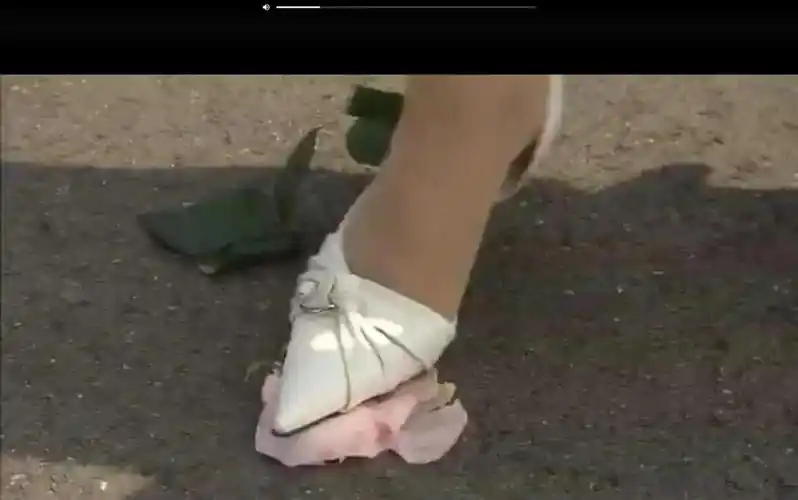 改成:震惊,某性感女子竟用白色高跟鞋将其碾碎!-千里眼视频-搜狐视频