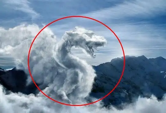 村民修路竟然意外挖出千年真龙(组图)