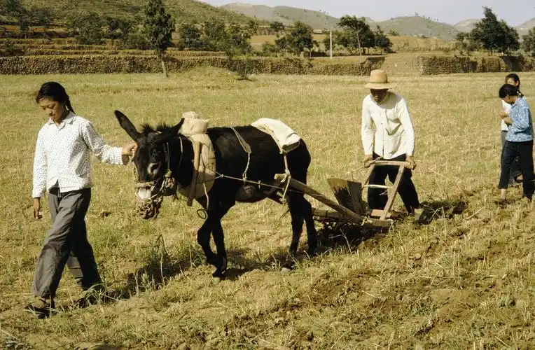 70年代的中国老照片20