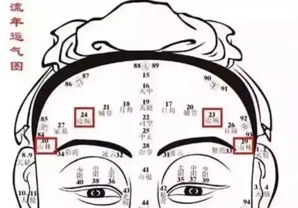 面相学—额头!