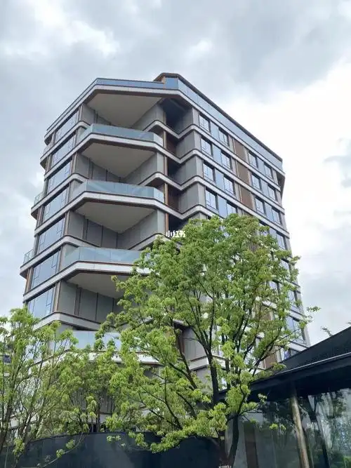 龙湖精装大平层特价6米挑高院管