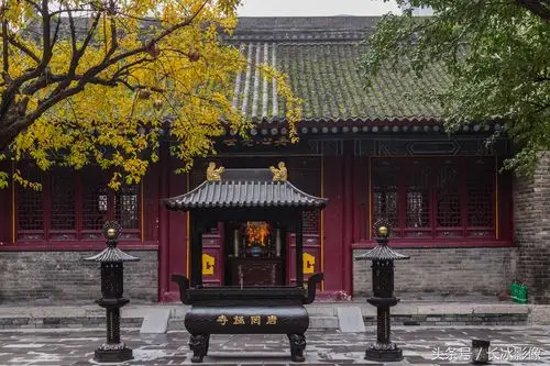 西安炮房街罔极寺的秋天很幽静 太平公主为武则天祈福而修建