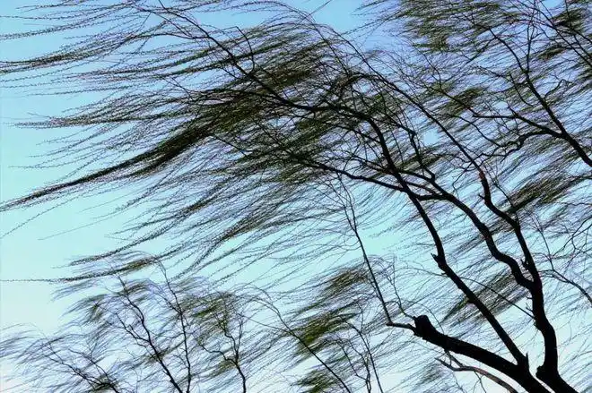 大风|扬沙|北海公园|陶然亭|春雨_网易订阅