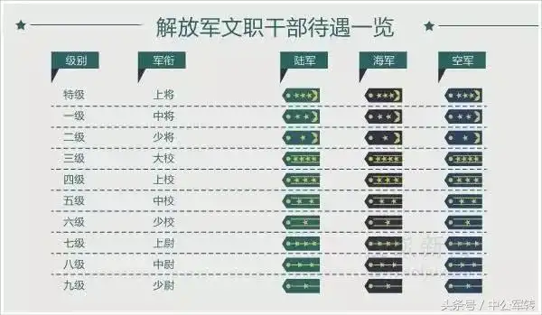 文职军衔文职肩章军衔图解