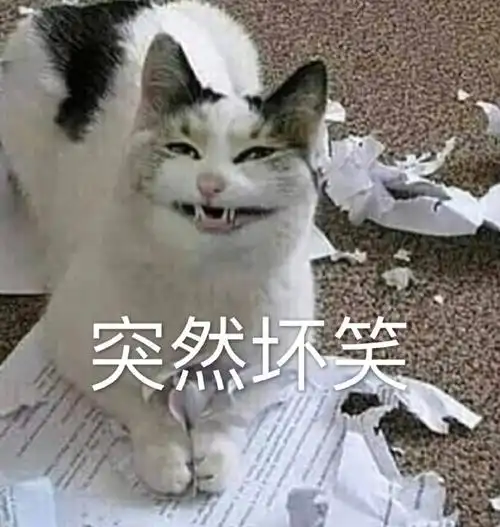 萌宠喵星人突然坏笑嘿嘿嘿呆萌可爱gif动图_动态图_表情包下载_soogif