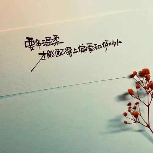 简短有深意的文案