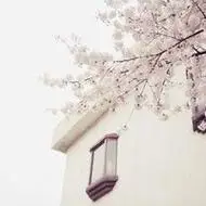 唯美清新淡雅的头像图片,微信头像图片