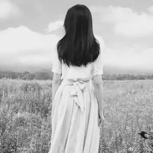 美女明星背影刘亦菲赞评论更多所有评论你也来说些什么吧