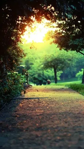 碧水青山终行遍.不及一缕青丝相思缠.