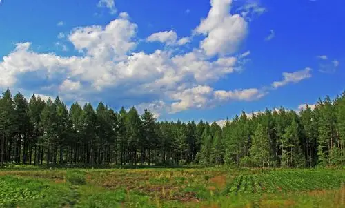 林区穿越大兴安岭,天高云淡水碧山青--暑期东北行之十