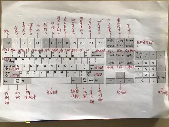 零基础学电脑键盘功能详细中文图解