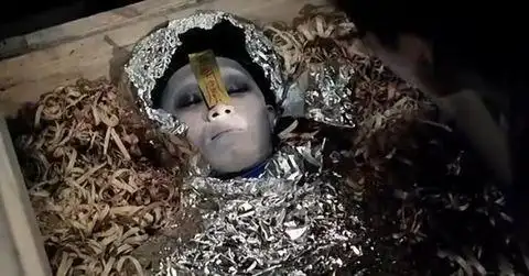 中国最邪门的24个神秘事件 令人毛骨悚然