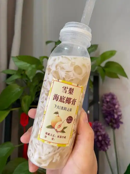 雪梨海底椰教程