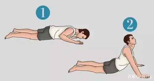 双手在肩膀前方 手臂伸直,延展脊柱向上 保持1分钟  梨状肌的拉伸