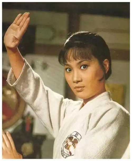港片女武打10位传奇:一人离世,一人老而未婚|功夫|武术|打星|影视圈
