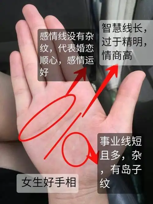 免费起卦排盘六爻解卦免费六爻排盘解