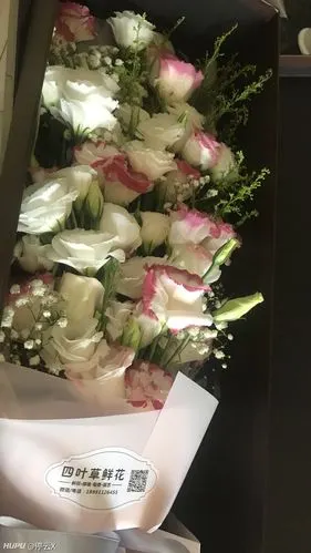 社区 步行街主干道中午收到的,等到晚上也没人给我发消息,又发了朋友